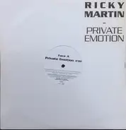 Ricky Martin Featuring Meja - Private Emotion