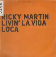 Ricky Martin - Livin La Vida Loca