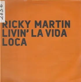 Ricky Martin - Livin La Vida Loca