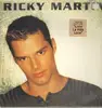 Double LP - Ricky Martin - Ricky Martin - US Original