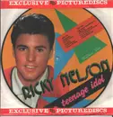 Picture Disc - Ricky Nelson - A Teenage Idol