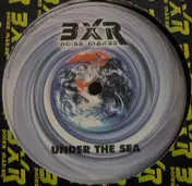 ricky le roy - Under The Sea