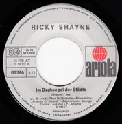 7'' - Ricky Shayne - Jeder Tag Bringt Mich Näher Zu Dir