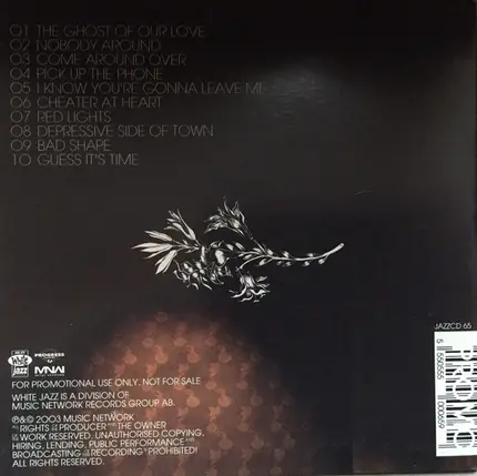 Ricochets - The Ghost Of Our Love