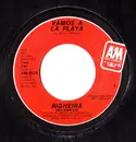 7inch Vinyl Single - Righeira - Vamos A La Playa - Monarch Pressing