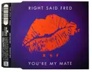 CD Single - Right Said Fred - You're My Mate