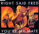 CD Single - Right Said Fred - You're My Mate