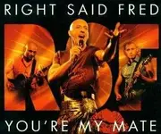 CD Single - Right Said Fred - You'Re My Mate