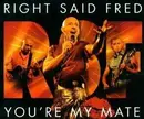 CD Single - Right Said Fred - You'Re My Mate