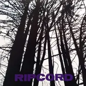 Ripcord - From Demo Days To Radio