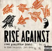 Double LP - Rise Against - Long Forgotten Songs: B-sides & Covers 2000-2013