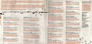 Double LP - Rise Against - Long Forgotten Songs: B-sides & Covers 2000-2013