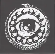 7inch Vinyl Single - Rise And Fall - Deceiver b/w Sinking In Sin - Grey Vinyl