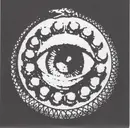 7inch Vinyl Single - Rise And Fall - Deceiver b/w Sinking In Sin - Grey Vinyl