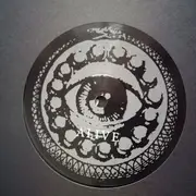 LP - Rise And Fall - Alive In Sin - + Insert