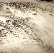 Rivulets - Rivulets