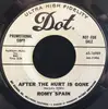 7inch Vinyl Single - Romy Spain - After The Hurt Is Gone / Sorry About That