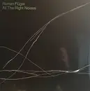 Double LP - Roman Flügel - All The Right Noises - Gatefold, Still Sealed