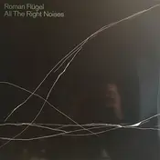 Roman Flügel - All the Right Noises