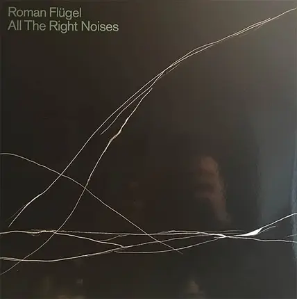 Roman Flügel - All the Right Noises