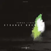 roman lindau - Strange Brew EP