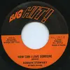 7inch Vinyl Single - Roman Stewart - How Can I Love Someone