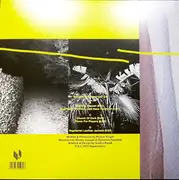 2 x 12'' - Roman Flügel - Monday Brain