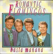 7inch Vinyl Single - Romantic Flamingos - Hasta Mañana