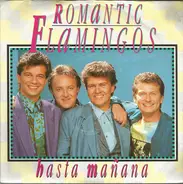 Romantic Flamingos - Hasta Mañana