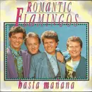 7inch Vinyl Single - Romantic Flamingos - Hasta Mañana