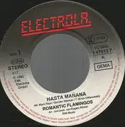 7inch Vinyl Single - Romantic Flamingos - Hasta Mañana