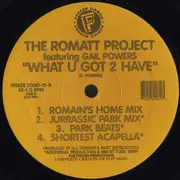12inch Vinyl Single - Romatt Featuring Gail Powers - What U Got 2 Have