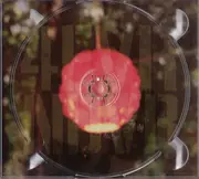 CD - Ron Sexsmith - Forever Endeavour - Digipak