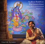 Ronu Majumdar - Hollow Bamboo