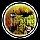 12'' - Ron Flatter/ Audiossey - 1+1