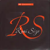 Roni Size - Feel The Heat