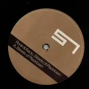 Ronin - Streets Of Placktown