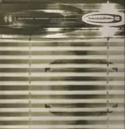 Roni Size / Reprazent - Watching Windows