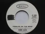 Ronnie David - Fiddler On The Roof