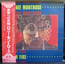 LP - Ronnie Montrose - Open Fire - + Obi