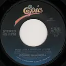 7inch Vinyl Single - Ronnie McDowell - Love Me Now / Never Seen A Mountain So High