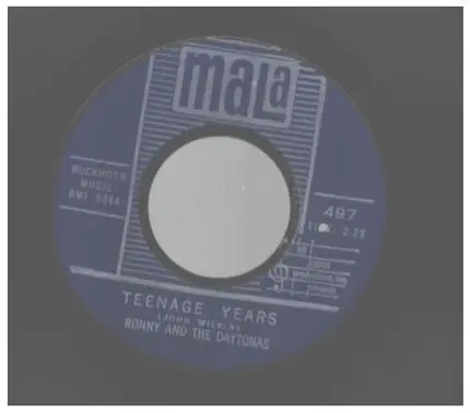Ronny & The Daytonas - Teenage Years