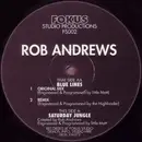 12inch Vinyl Single - Rob Andrews - Saturday Jungle / Blue Lines