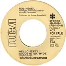 7inch Vinyl Single - Rob Hegel - Hello Jekyll, Goodbye Mr. Hyde