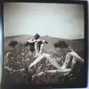 CD - Rob Jungklas - Blackbirds - digifile