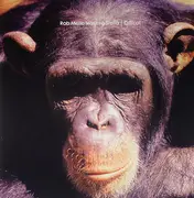 12'' - Rob Mello Featuring Stella - Critical - FEAT. STELLA ATTAR