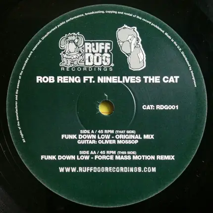 Rob Reng Ft. NineLives The Cat - Funk Down Low