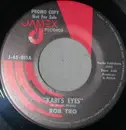 7inch Vinyl Single - Rob Tro - Kari's Eyes