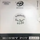 12inch Vinyl Single - Rob Vanden & D-Zyne - Warriors 2000