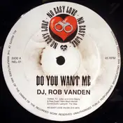 Rob Vanden - Do You Want Me / Pumpin Love